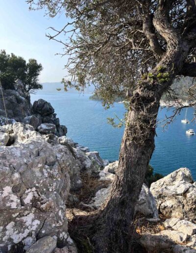 Aussicht auf Kargıcak (Provinz Antalya / Türkei)