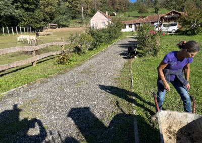 Birgit Scholz - Pferdecoaching