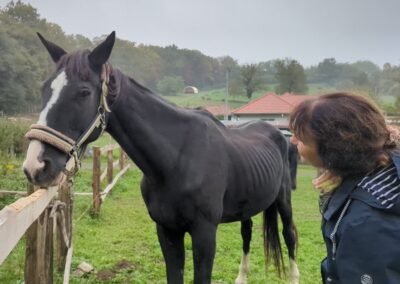 Isengard mit Monika Gisler