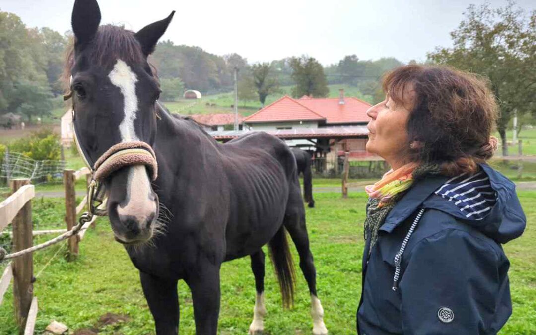 Isengard:  Tiere – Bewusstsein – Heilung