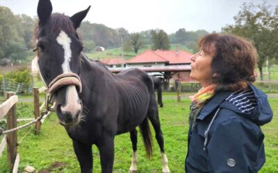 Isengard:  Tiere – Bewusstsein – Heilung