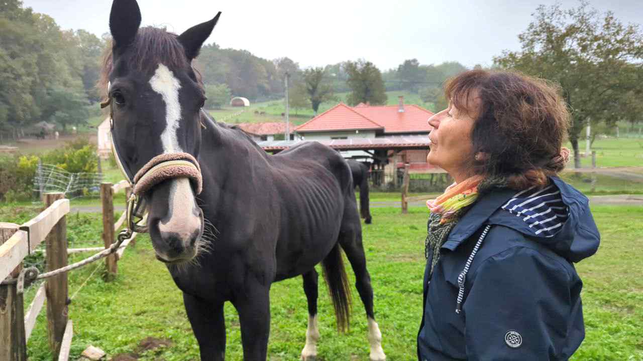 Isengard mit Monika Gisler Isengard mit Monika Gisler