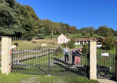 Pferdehof und Vitalis Gesundheitszentrum