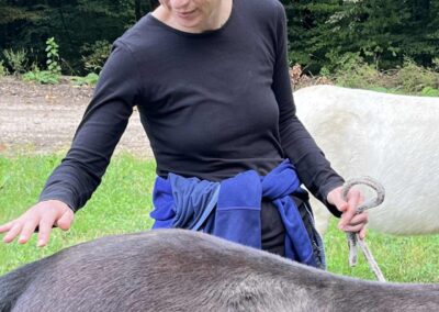 Teilnehmerin am Pferdecoaching